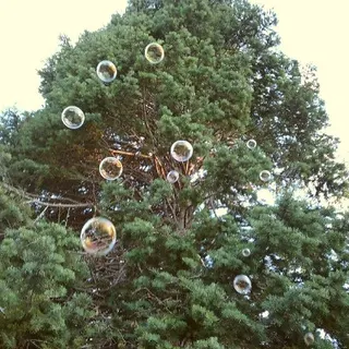 trillian